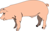 Pink Pig Side View Clip Art